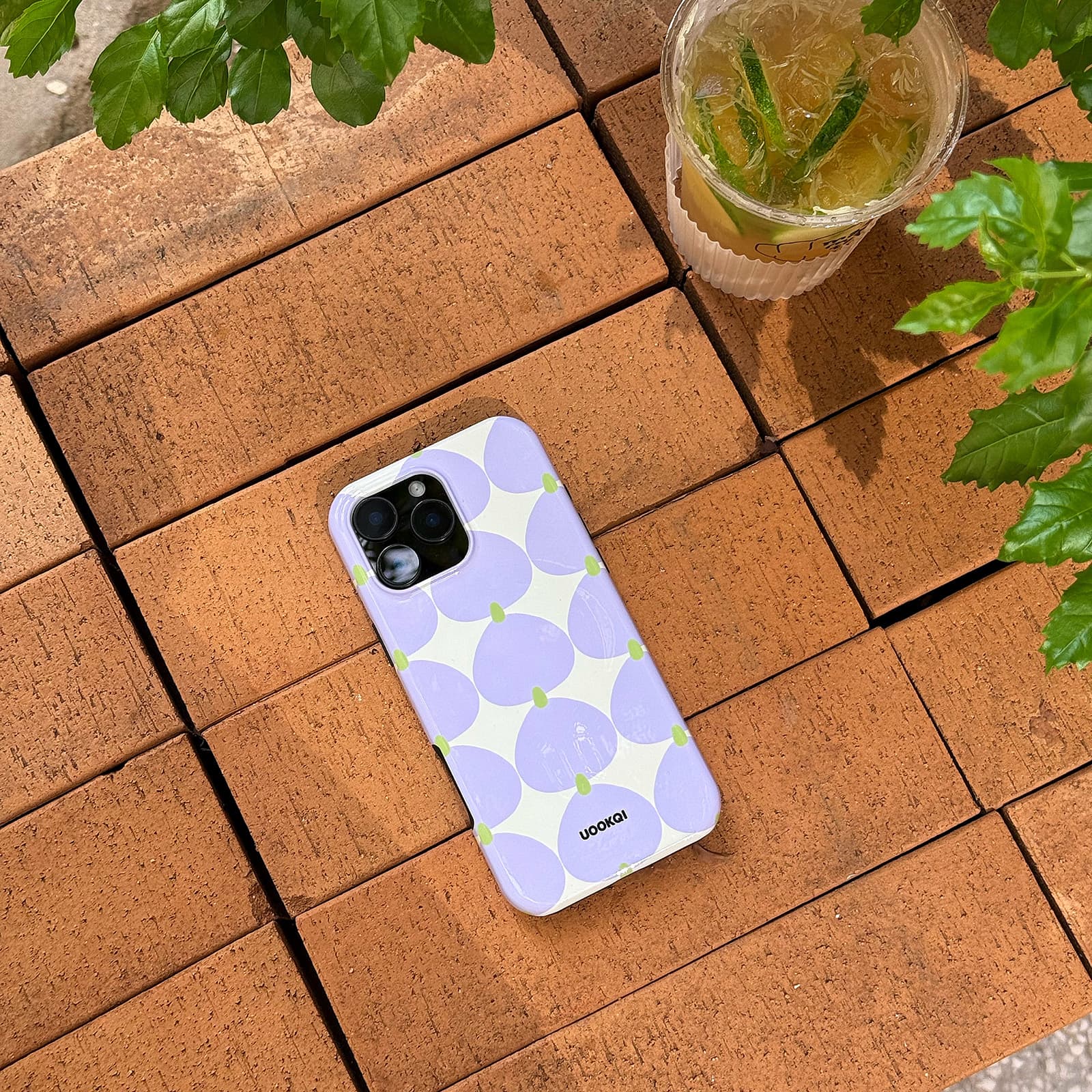 Fig Mood – เคส MagSafe สำหรับ iPhone 16 /15 / 14 / 13